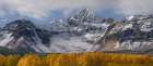 USA-Colorado-Uncompahgre National Forest Wilson Peak and aspen forest in autumn Art Print